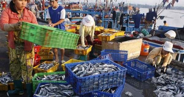 Morning Market Tour in Nha Trang