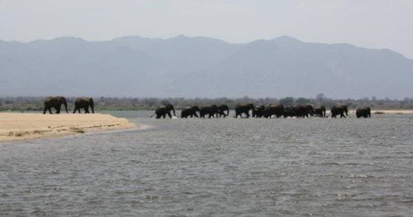 4 Days Breathtaking Safari in Lower Zambezi National Park, Zambia