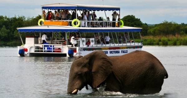 6 Days Camping South Luangwa & Victoria Falls