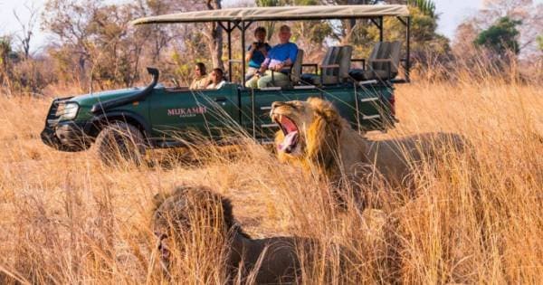 6 Days Kafue and Victoria Falls Luxury Safari
