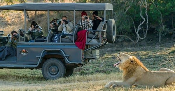 Affordable 7 Days Zambia Safari, Victoria Falls and South Luangwa National Park